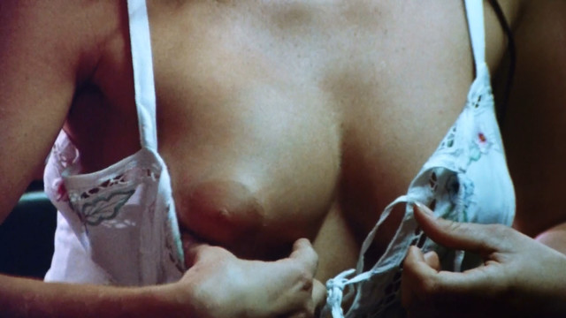 Shelley Taylor Morgan nude, Suzanne M. Regardm nude, Lori Sutton nude, Lorraine Michaels nude - Malibu Express (1985)